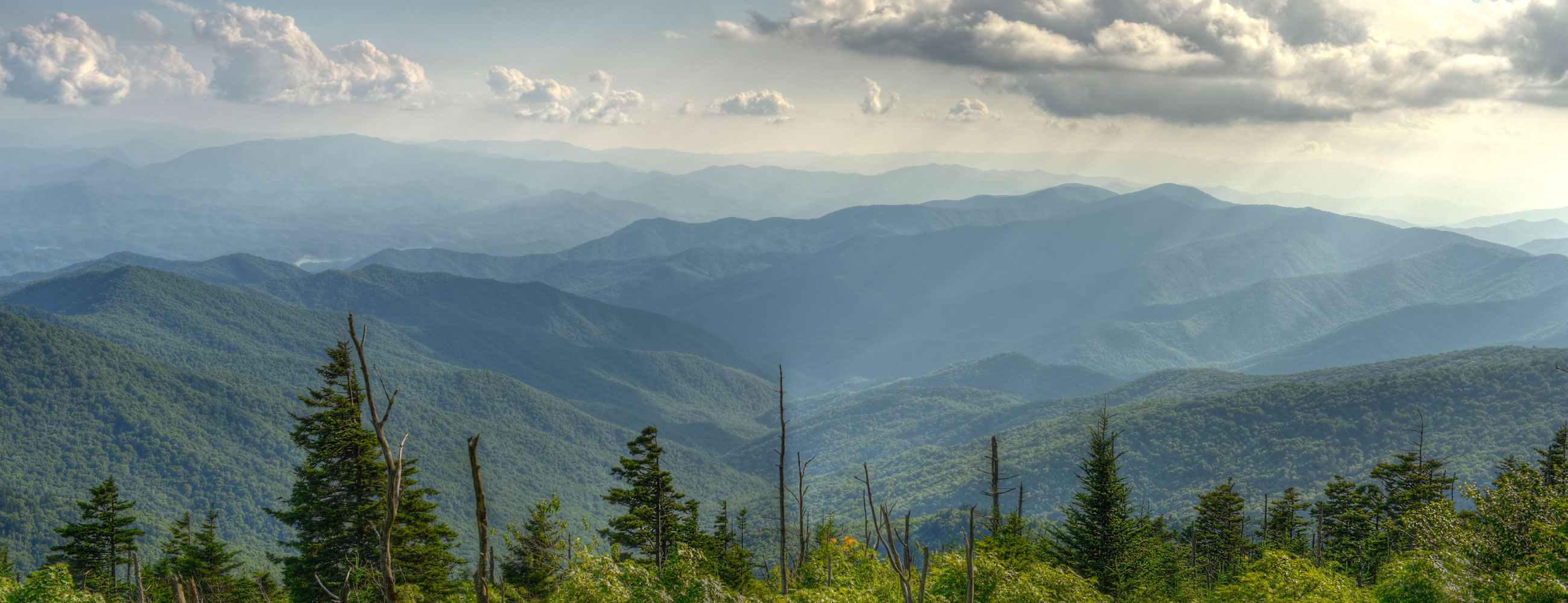 Ashen Perera Ashen Perera