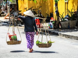 Explore the Charm of Vietnam